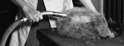 angora_vacuum