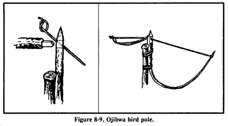 fig8-9_ojibwabirdpole