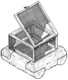 floating_feeder_box