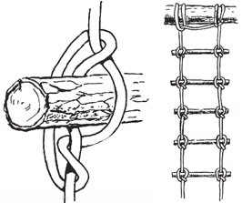 Rope Craft: Two Techniques for Making a Rope Ladder in the Field